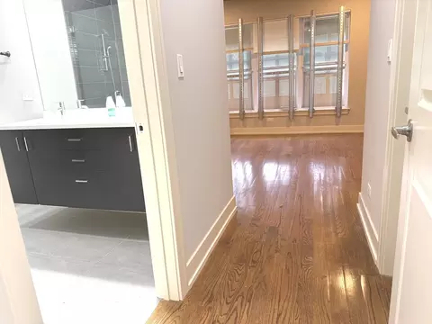 Entry Way - 544 E 46th Pl, Chicago, IL 60653 photo 2 of 5