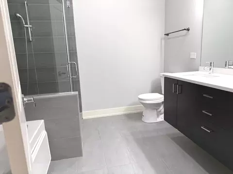 Bath - 544 E 46th Pl, Chicago, IL 60653 photo 1 of 9