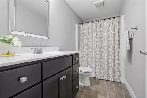 Bath - 205 Eldon Dr, Downs, IL 61736 photo 6 of 6
