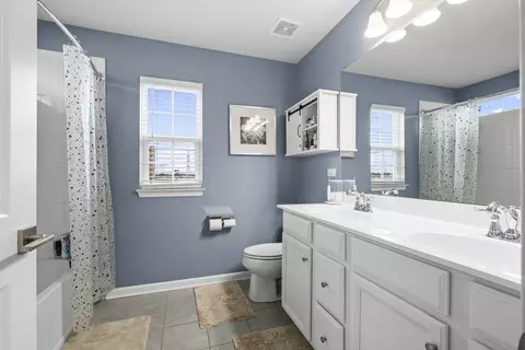 Bath - 47 Nicholas Dr E, Des Plaines, IL 60016 photo 2 of 3
