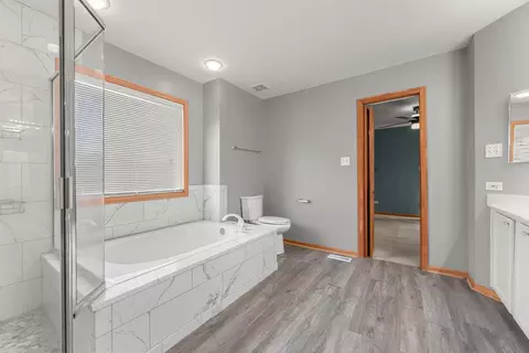 Bath - 230 Lakeview Ct, Steger, IL 60475 photo 4 of 5