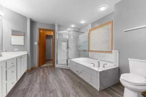 Bath - 230 Lakeview Ct, Steger, IL 60475 photo 3 of 5