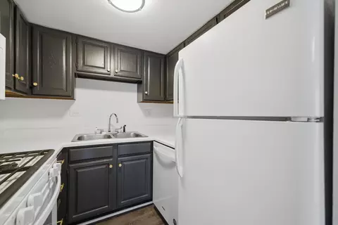 Kitchen - 6441 W Pershing Rd #104, Stickney, IL 60402 photo 2 of 2