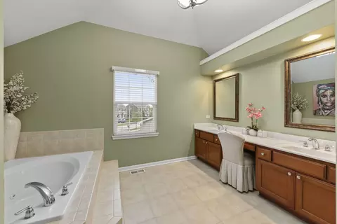 Bath - 13521 Arborview Cir, Plainfield, IL 60585 photo 3 of 4