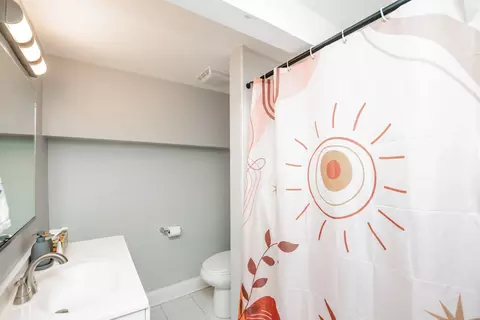 Bath - 735 E 50th St #2, Chicago, IL 60615 photo 3 of 3