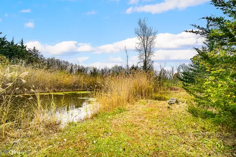 View/Area - 4805 S Old Mazon Rd, Mazon, IL 60444 photo 1 of 3