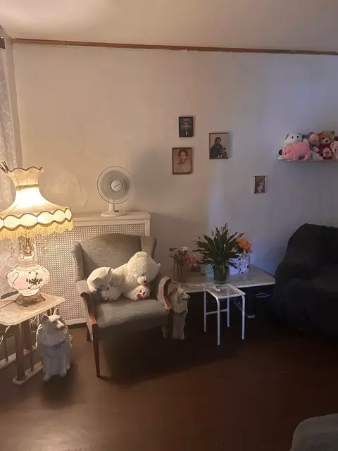 Living - 5336 S Union Ave, Chicago, IL 60609 photo 2 of 2
