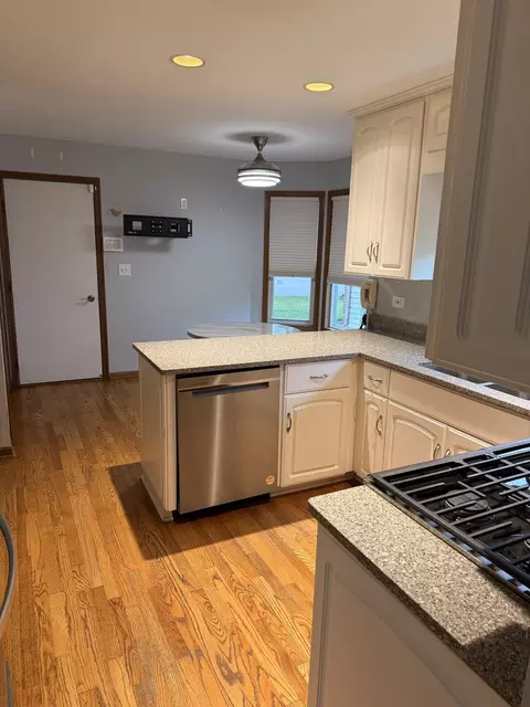 Kitchen - 21070 W Hazelnut Ln, Plainfield, IL 60544 photo 2 of 6