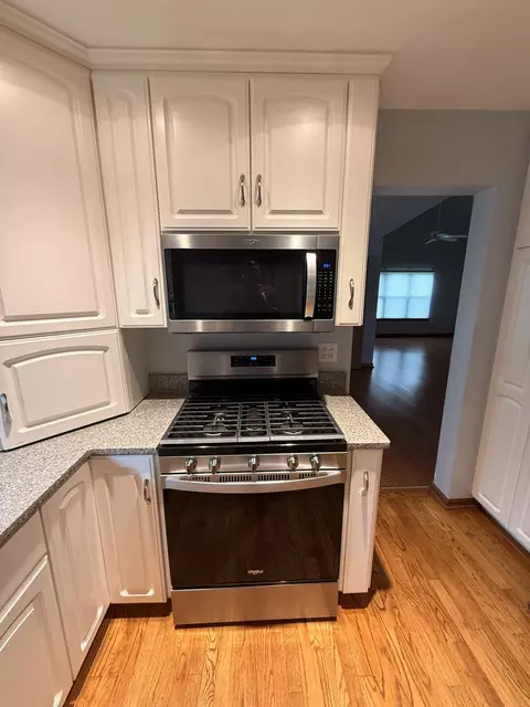 Kitchen - 21070 W Hazelnut Ln, Plainfield, IL 60544 photo 5 of 6
