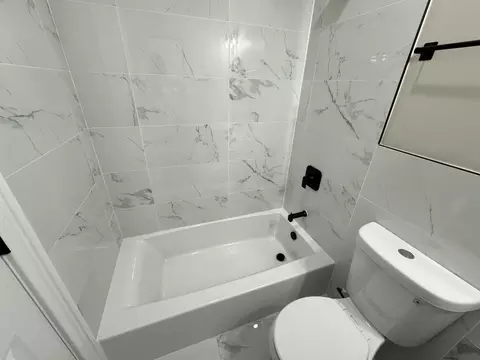 Bath - 543 E 43rd St #3W, Chicago, IL 60653 photo 1 of 5