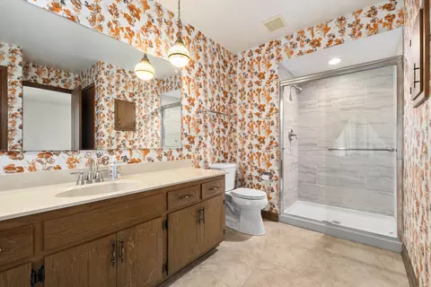Bath - 3400 Parthenon Way, Olympia Fields, IL 60461 photo 2 of 3