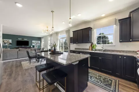 Kitchen - 27008 Ashgate Xing, Plainfield, IL 60585 photo 3 of 3
