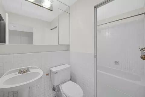 Bath - 40 E 9th St #1809, Chicago, IL 60605 photo 1 of 3