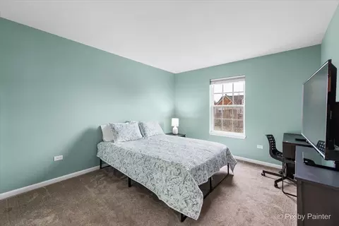 Bedroom - 26428 Rustling Birch Way, Plainfield, IL 60585 photo 5 of 5
