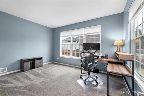 Other - 26428 Rustling Birch Way, Plainfield, IL 60585 photo 5 of 15