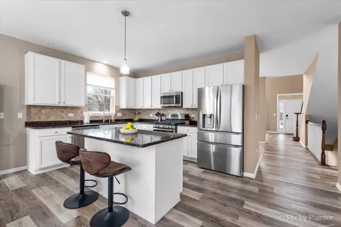 Kitchen - 26428 Rustling Birch Way, Plainfield, IL 60585 photo 1 of 3