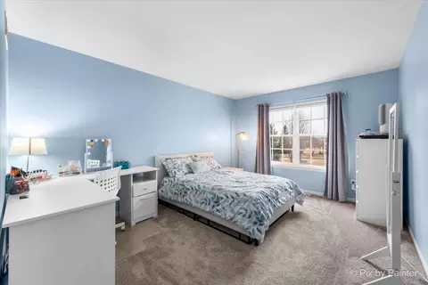 Bedroom - 26428 Rustling Birch Way, Plainfield, IL 60585 photo 3 of 5