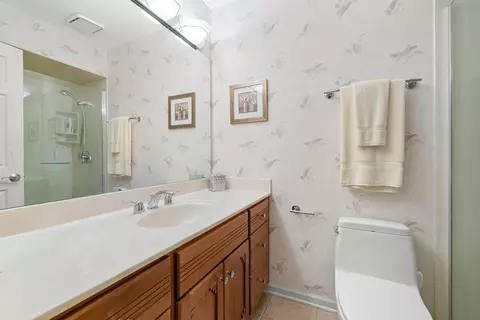 Bath - 1513 Acorn Ct, Wheeling, IL 60090 photo 5 of 6