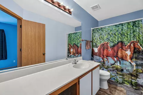 Bath - 14029 S Emerald Ct, Plainfield, IL 60544 photo 2 of 3