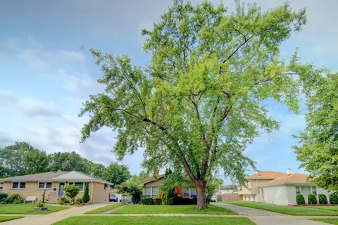 View/Area - 513 W Willow Gln, Addison, IL 60101 photo 1 of 1