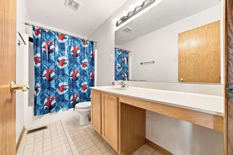 Bath - 5712 Arbor Falls Ct, Plainfield, IL 60586 photo 3 of 3