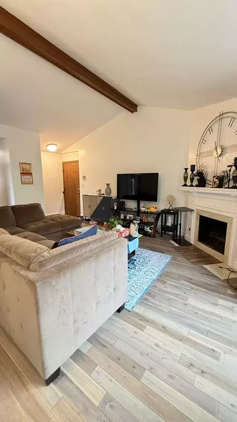 Living - 200 Brookside Ln #D, Willowbrook, IL 60527 photo 4 of 4