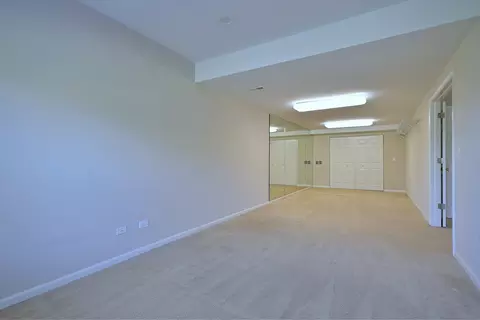 Other - 11819 Wolf Creek Ln, Plainfield, IL 60585 photo 7 of 13