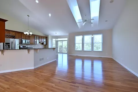 Living - 11819 Wolf Creek Ln, Plainfield, IL 60585 photo 2 of 21
