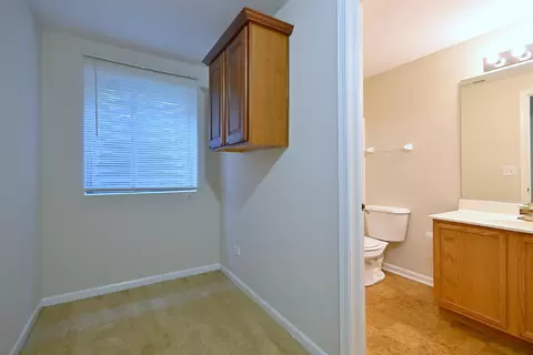 Other - 11819 Wolf Creek Ln, Plainfield, IL 60585 photo 10 of 13