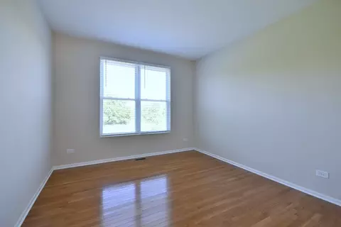 Other - 11819 Wolf Creek Ln, Plainfield, IL 60585 photo 5 of 13