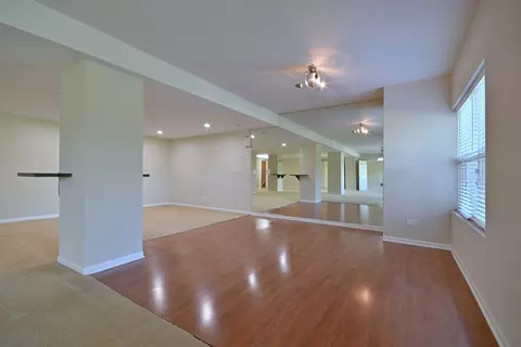 Living - 11819 Wolf Creek Ln, Plainfield, IL 60585 photo 20 of 21