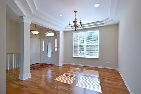 Living - 11819 Wolf Creek Ln, Plainfield, IL 60585 photo 6 of 21