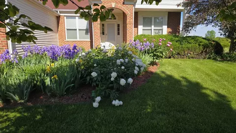 Exterior - 11819 Wolf Creek Ln, Plainfield, IL 60585 photo 2 of 13