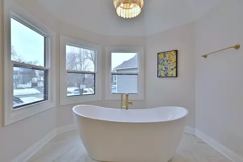 254 E South St, Elmhurst, IL 60126 photo 57