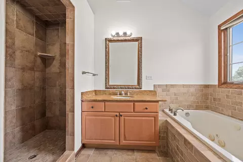 Bath - 24340 S Pine Ridge Dr, Monee, IL 60449 photo 4 of 5