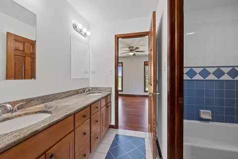 Bath - 24340 S Pine Ridge Dr, Monee, IL 60449 photo 2 of 5