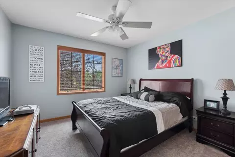 Bedroom - 12726 Shenandoah Trl, Plainfield, IL 60585 photo 3 of 5