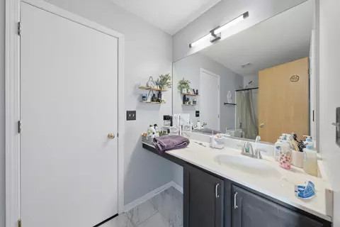 Bath - 1619 Golden Ridge Dr, Plainfield, IL 60586 photo 4 of 5