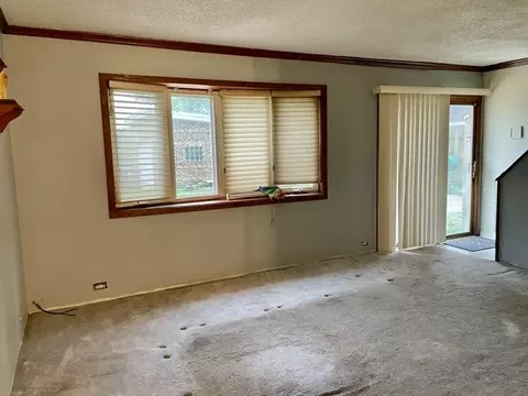4521 Center Ave, Lyons, IL 60534 photo 2