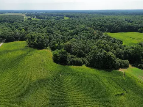 Other - 000 Iuka Rd, Iuka, IL 62849 photo 1 of 23