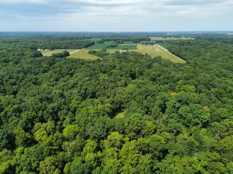 View/Area - 000 Iuka Rd, Iuka, IL 62849 photo 9 of 13