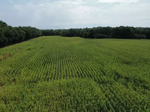 Other - 000 Iuka Rd, Iuka, IL 62849 photo 19 of 23
