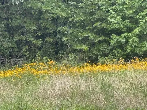 Other - 000 Iuka Rd, Iuka, IL 62849 photo 2 of 23