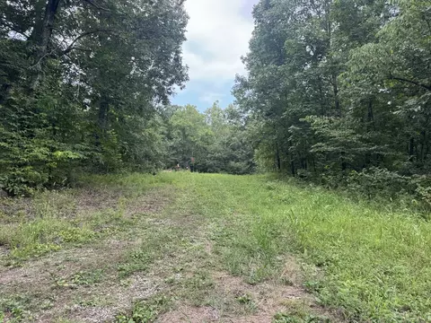Other - 000 Iuka Rd, Iuka, IL 62849 photo 6 of 23