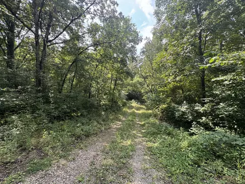 Other - 000 Iuka Rd, Iuka, IL 62849 photo 16 of 23