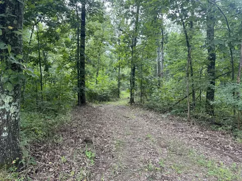 Other - 000 Iuka Rd, Iuka, IL 62849 photo 8 of 23