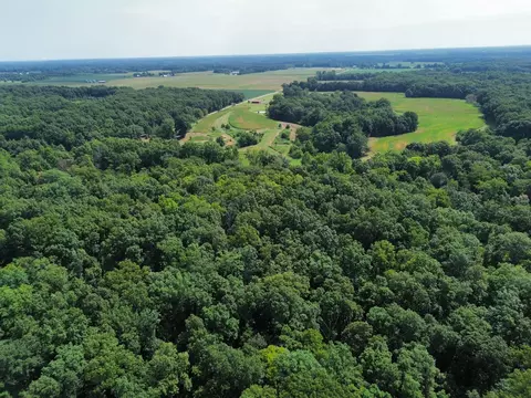 View/Area - 000 Iuka Rd, Iuka, IL 62849 photo 11 of 13