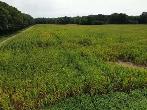 Other - 000 Iuka Rd, Iuka, IL 62849 photo 18 of 23