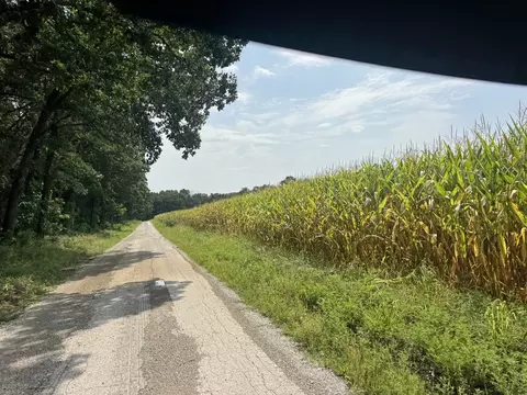 Other - 000 Iuka Rd, Iuka, IL 62849 photo 17 of 23