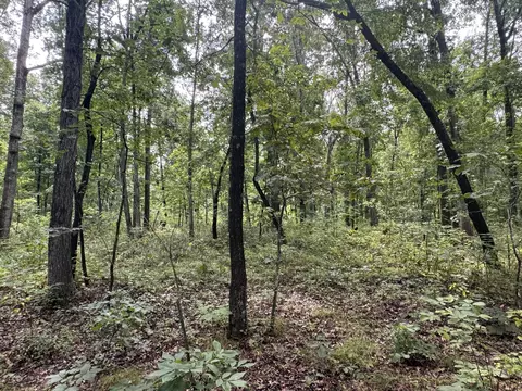 Other - 000 Iuka Rd, Iuka, IL 62849 photo 11 of 23
